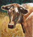 French Cow, 7-3/8 x 6-3/8